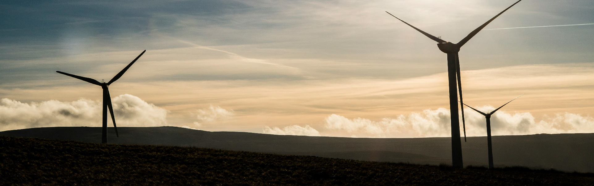 德赢·(VWIN)官方网站-AC米兰官方相助同伴